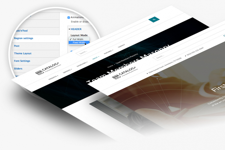 200+ theme settings to customize your site in Catalog+